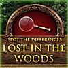 Juego online Lost in the Woods (Spot the Differences Game)